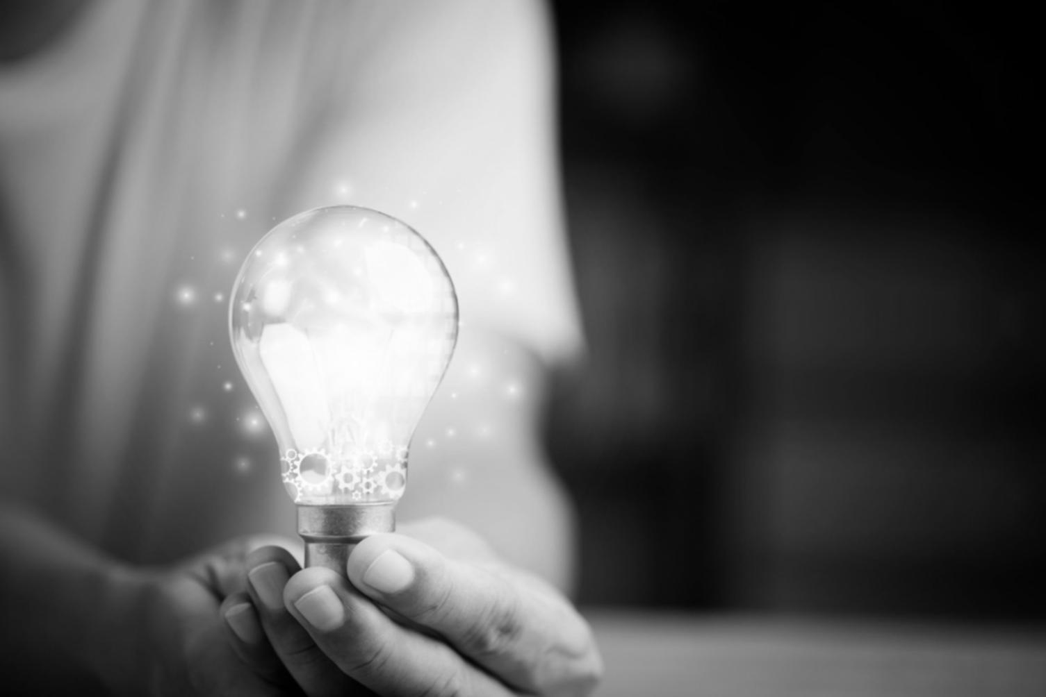 Session de formation pratique sur la rédaction SEO avec analyse de contenu en temps réel